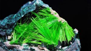 Uranium Contamination