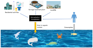 Microplastics in Drinking Water