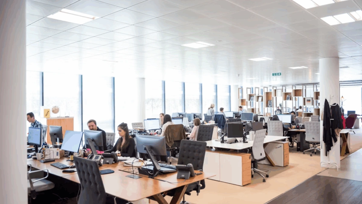 Workplace Culture